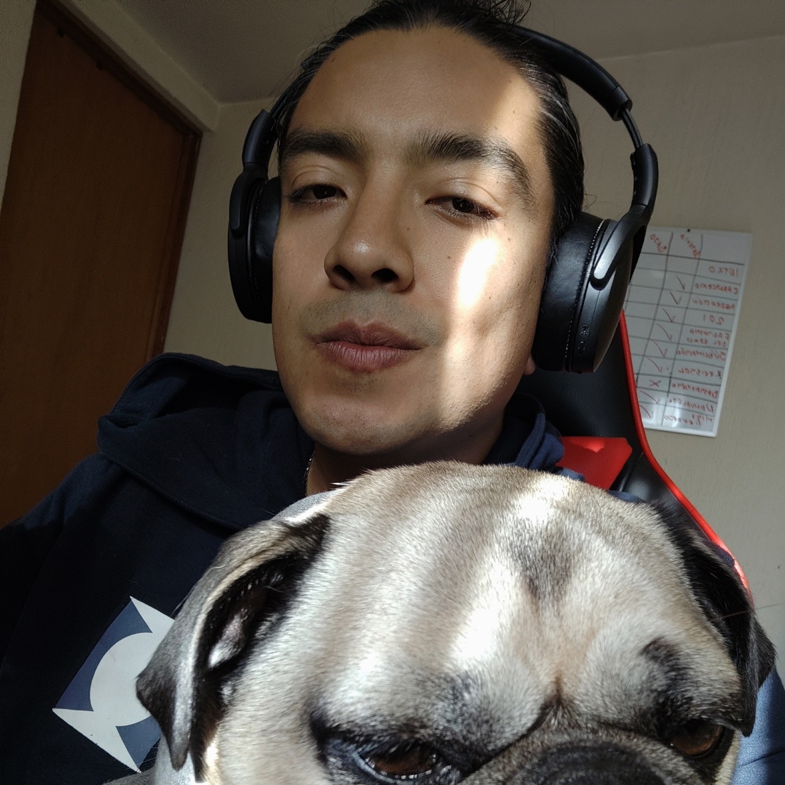 Alfredo Rodriguez (DrakoRod)